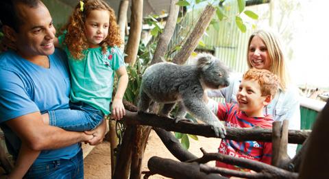 史蒂芬斯港 (Port Stephens) 橡树谷农场 (Oakvale Farm) 和动物世界 (Fauna World) 的家庭活动