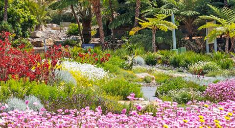 安南山 (Mount Annan) 澳大利亚植物园 (The Australian Botanic Garden)