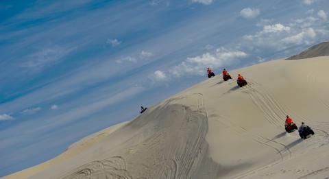 沙丘探险之旅 (Sand Dune Adventures)