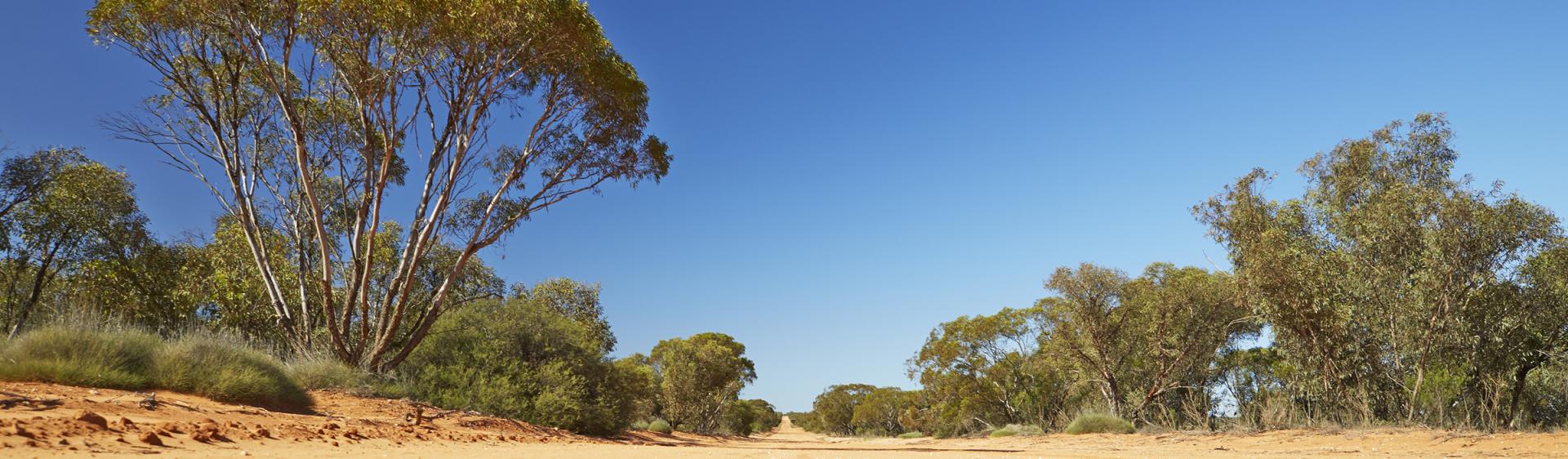 布罗肯希尔蒙哥国家公园步行道 (Mungo National Park track, Broken Hill)