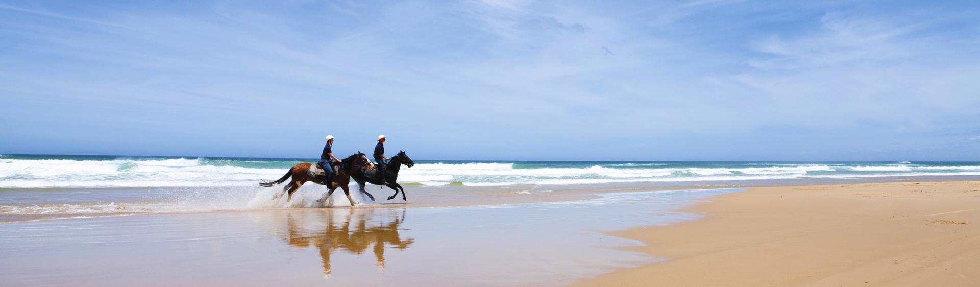 史蒂芬斯港 (Port Stephens) 海滩骑马