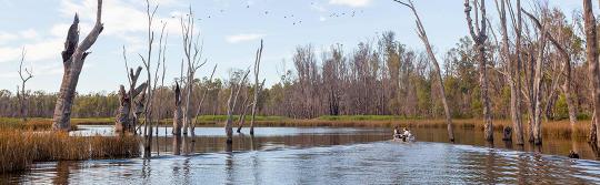 纳兰德拉 (Narrandera) 穆伦比基河 (Murrumbidgee River)