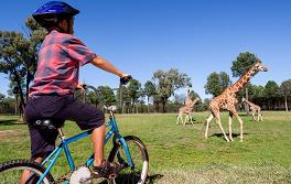 达博塔龙加西部平原动物园 (Taronga Western Plains Zoo)