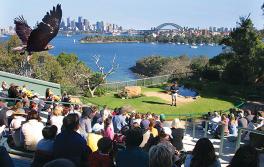 莫斯曼 (Mosman) 塔龙加动物园 (Taronga Zoo)